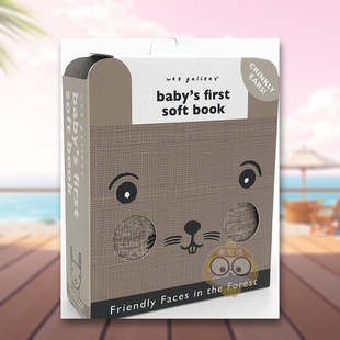 在森林里 现货 面孔 Surya 书wor Sajnani; Friendly 友好 Forest英文儿童趣味3 the Faces Sajnani进口原版 6岁Surya