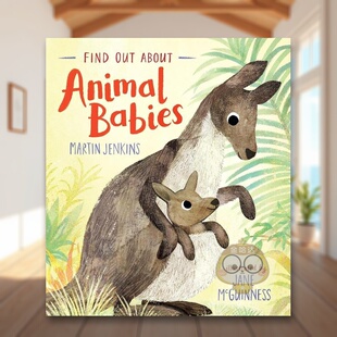 Find Animal 现货 动物宝宝 and McGuinness进口原 Jenkins Out 寻找发现 6岁精装 Babies英文儿童趣味3 About Jane Martin