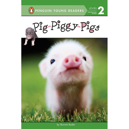 【现货】猪-小猪-小猪 Pig-Piggy-Pigs 儿童绘本英文原版图书进口书籍