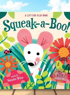 【现货】【翻翻书】吱吱喳喳英文儿童趣味进口原版外版书纸板书3-6周岁Squeak-a-boo!Natasha WingAbrams Appleseed书籍图书正版