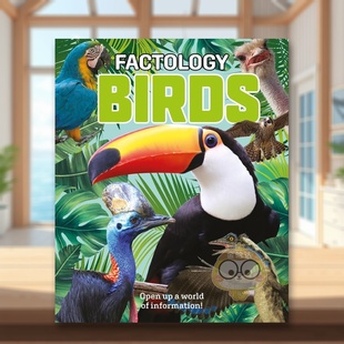 【预售】【事实学派】鸟类 Factology: Birds 原版英文儿童绘本 科普进口书籍图书外版正版