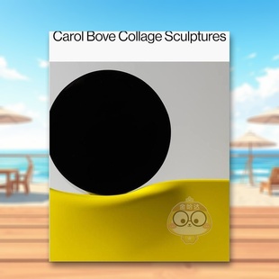 【预售】卡罗尔波维拼贴雕塑Carol Bove英文博物馆展览私人收藏画册Carol BoveDavid Zwirner精装进口原版书671书籍图书外版正版