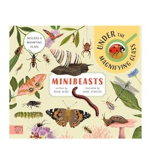 【现货】【显微镜下探索】小昆虫 【Under the Magnifying Glass】Minibeasts 英文原版儿童知识科普百科绘本6-9岁进口英语读物