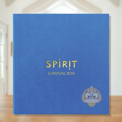 【预售】迪特尔?胡贝尔：精神，生存之盒 Dieter Huber 原版英文艺术画册画集进口书籍图书外版正版