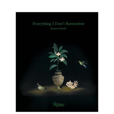 【预售】萨纳姆·哈提比：我遗忘的一切 Sanam Khatibi: Everything I Dont Remember 原版英文艺术画册画集进口书籍图书外版正版