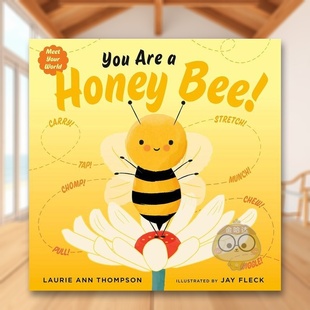 Honey 现货 Are Bee Books书籍图书外版 书精装 Penguin 你是一只蜜蜂英文儿童绘本动物生态环保进口原版 正版 You THOMPSON