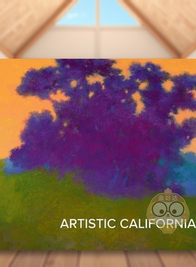 【预售】艺术加州：旧金山美术馆地区艺术藏品英文博物馆展览私人收藏画册进口原版图书Artistic California精装Emma Acker著Cam书