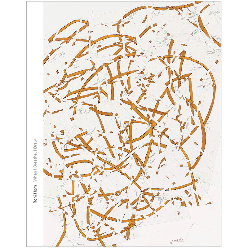 【现货】Roni Horn When I Breathe, I Draw 罗尼·霍恩 英文艺术书籍进口原版