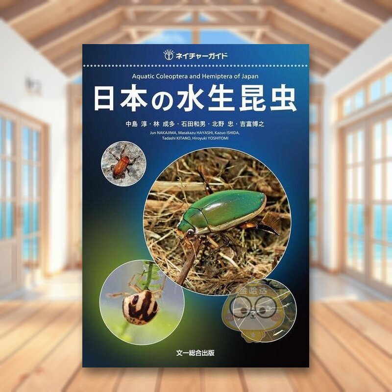 【预售】日本水生昆虫 日文艺术图鉴日版进口原版图书外版书籍日本の水生昆虫
