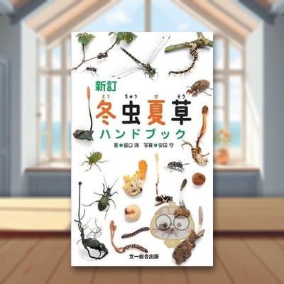 【现货】冬虫夏草手册 修订版 日文生活家居美学技巧日版进口原版图书外版书籍新訂 冬虫夏草ハンドブック