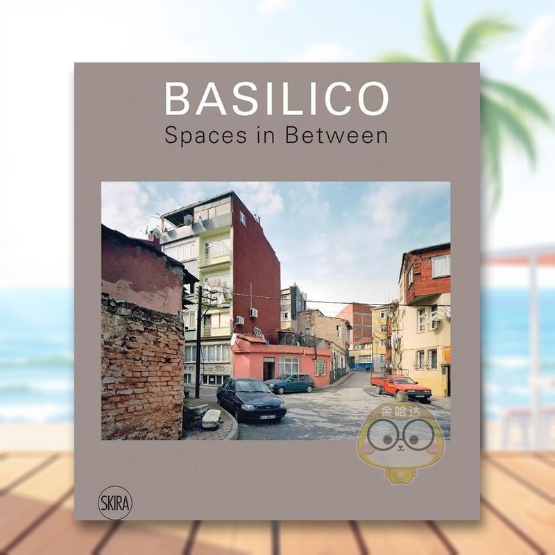 加布里埃尔·巴西利科：中间地带