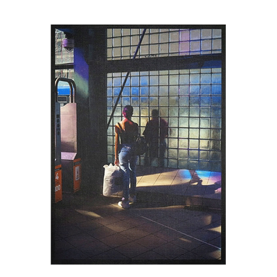 【现货】David Rothenberg : Roosevelt Station，大卫·罗森伯格 : 罗斯福站 英文原版图书籍进口正版 摄影集