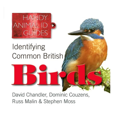 【现货】识别常见的英国鸟类 Identifying Common British Birds 英文原版进口外版图书