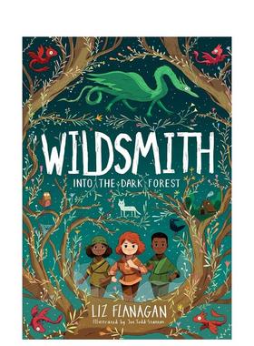 【现货】进入黑暗森林：野人工匠 Into the Dark Forest:The Wildsmith #1 英文原版儿童绘本故事书7-12岁插画师Joe Todd-Stanton