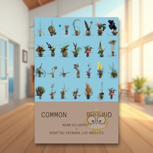 【预售】洛杉矶艺术家Adam Silverman共同点Adam Silverman英文艺术家艺术工作室Adam SilvermanInventory Press简装进口原版书97