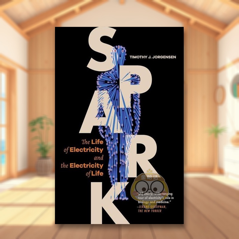 火花：论电的价值 Spark