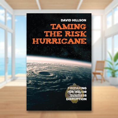 【预售】驯服风险飓风Taming The Risk Hurricane英文商业行销平装进口原版书Hillson  David Berrett-Koehler书籍图书外版正版