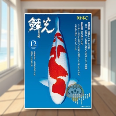 【现货】鳞光 No.684 日文生活家居美学技巧日版进口原版图书外版书籍鱗光 Ｎｏ．６８４（２０２４　１２）