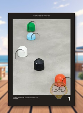 【预售】静止的悖论：艺术、对象和表演 The Paradox of Stillness: Art， Object， and Performance 原版英文艺术画册画集进口书