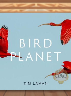 【预售】鸟类星球摄影之旅Bird Planet英文摄影集自然景观Tim Laman精装Abrams进口原版书419761492书籍图书外版正版