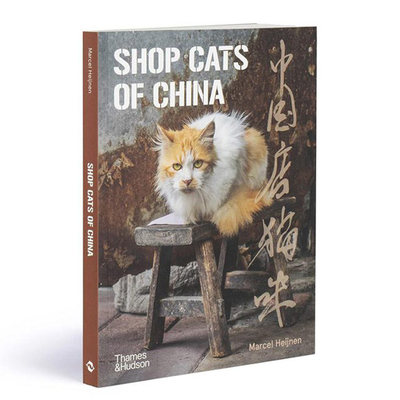 【现货】Shop Cats Of China，中国店猫咪 英文原版图书籍进口正版 街头店铺猫猫摄影集 摄影师Marcel Heijnen