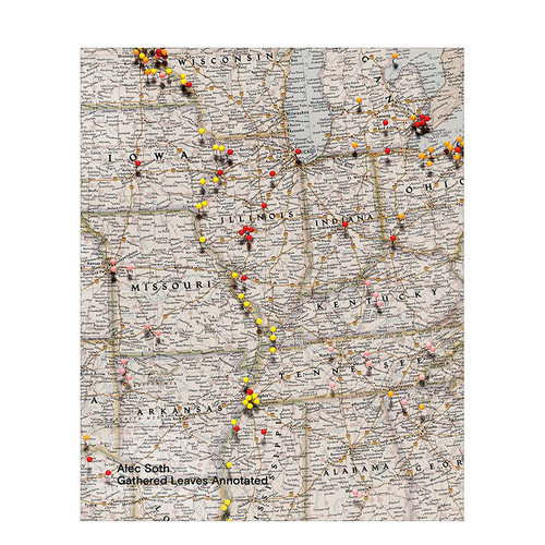 收集叶子注释版英文进口原版图书