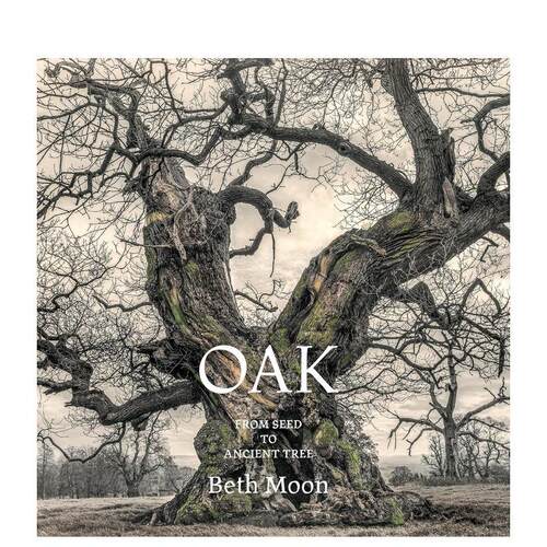 橡树：从种子到古树 Oak: