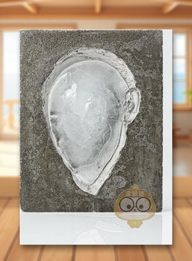 【预售】概括 - 墨西哥城艺术家Tania Perez Cordova英文艺术家艺术工作室进口原版外版书精装14岁以上Tania Pérez Córdova: Ge