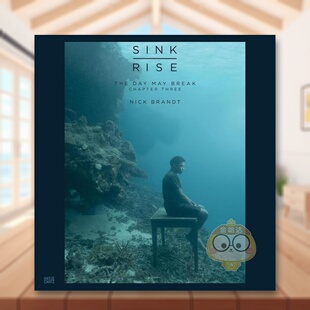 Brandt 英文摄影师专辑Zoe 书书籍图书外版 现货 正版 Cantz进口原版 尼克勃兰特黎明破晓前沉浮Nick Hatje Lescaze精装