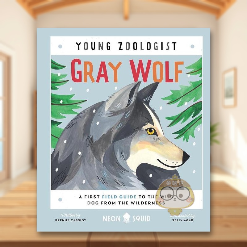 【小动物学家】灰狼 【Youn