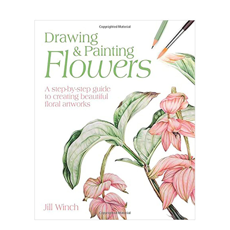 艺术品的逐步指南 drawing & painting flowers 原版英文艺术画册画集