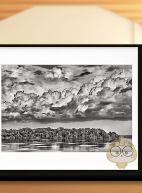 【预售】【TASCHEN限量版】塞巴斯蒂安萨尔加多亚马逊301-40英文摄影精装进口原版书【Art Edition】Sebastiao Salgado. Amazoni书