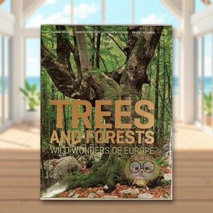 【预售】树木和森林:欧洲的野生奇观 Trees and Forests: Wild Wonders of Europe 原版英文摄影作品集自然景观进口书籍图书外版正
