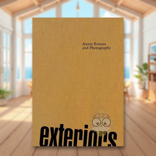 外部日志：安妮&middot;埃尔诺与MEP