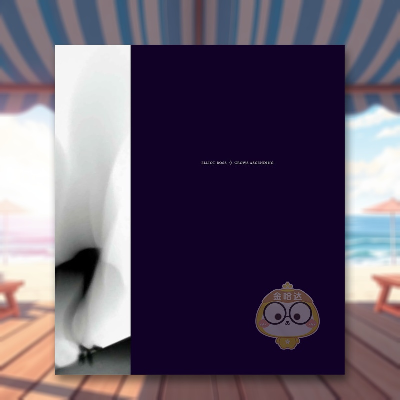 腾空的鸦 布鲁克林摄影师Ell