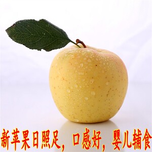 新货东北特产新鲜苹果黄元帅今年黄香蕉苹果金帅苹果新鲜苹果