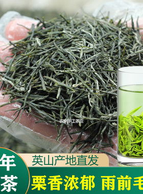 英山毛尖2025新茶叶自己喝浓香型湖北高山云雾茶一级绿茶口粮茗茶