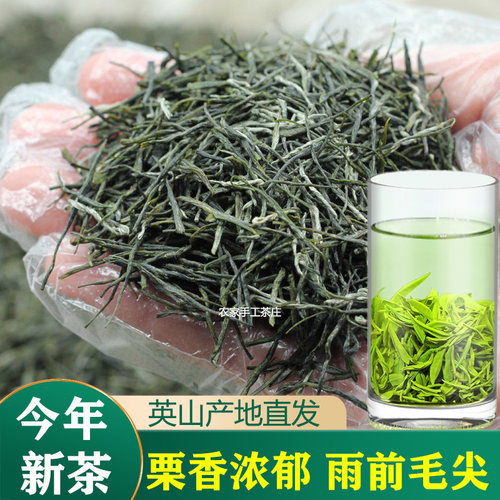 英山毛尖绿茶2025新茶叶