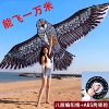 (三提线巨鹰)巨型老鹰风筝大型特大号成人款大人专用高档非伞布