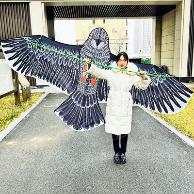 （2.4米三提线老鹰)高端仿真大老鹰风筝大型成人微风易飞高档专用