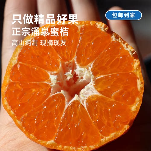 新鲜橘子丨浙江临海涌泉蜜桔正宗