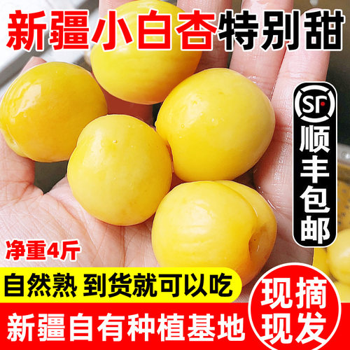 新疆小白杏新鲜水果爆甜顺丰包邮