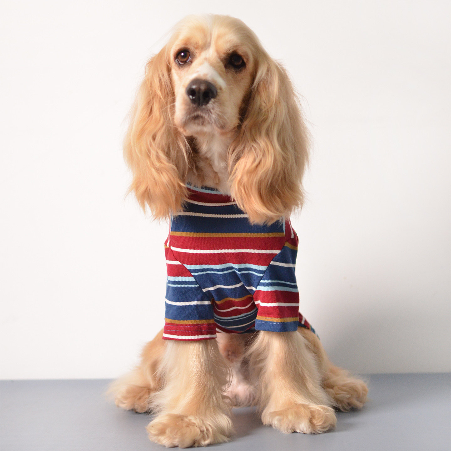 宠物衣服春夏薄款中小型犬亲子装