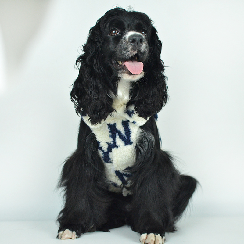 中小型犬羊羔绒潮流保暖宠物衣服