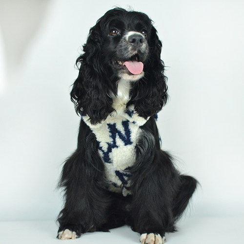 中小型犬羊羔绒潮流保暖宠物衣服