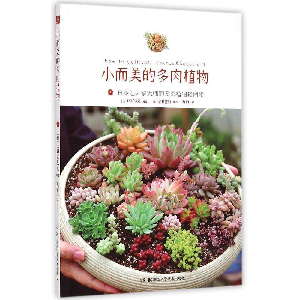 小而美的多肉植物 (日) 主妇之友社编著 9787535785923