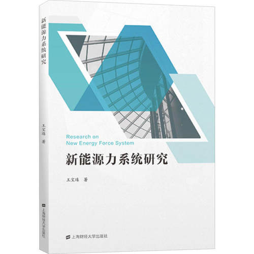 新能源力系统研究王宝珠著上海财经大学出版社9787564236373