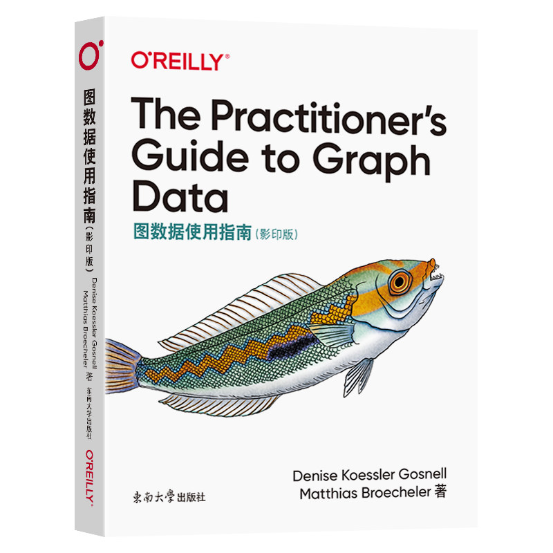 the practitioners guide to graph data9787564195120