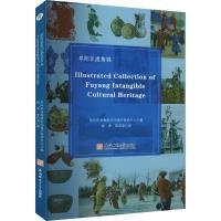 Illustrated collection of Fuyang intangible cultural heritage 阜阳市非物质文化遗产保护中心编 9787567659612