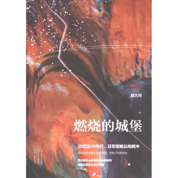 燃烧的城堡赵大河著河南文艺出版社9787555913115
